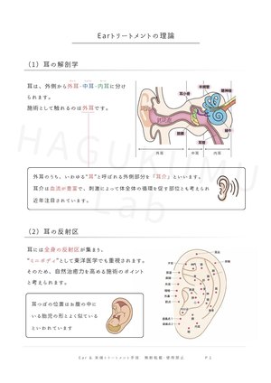 テキストの一部